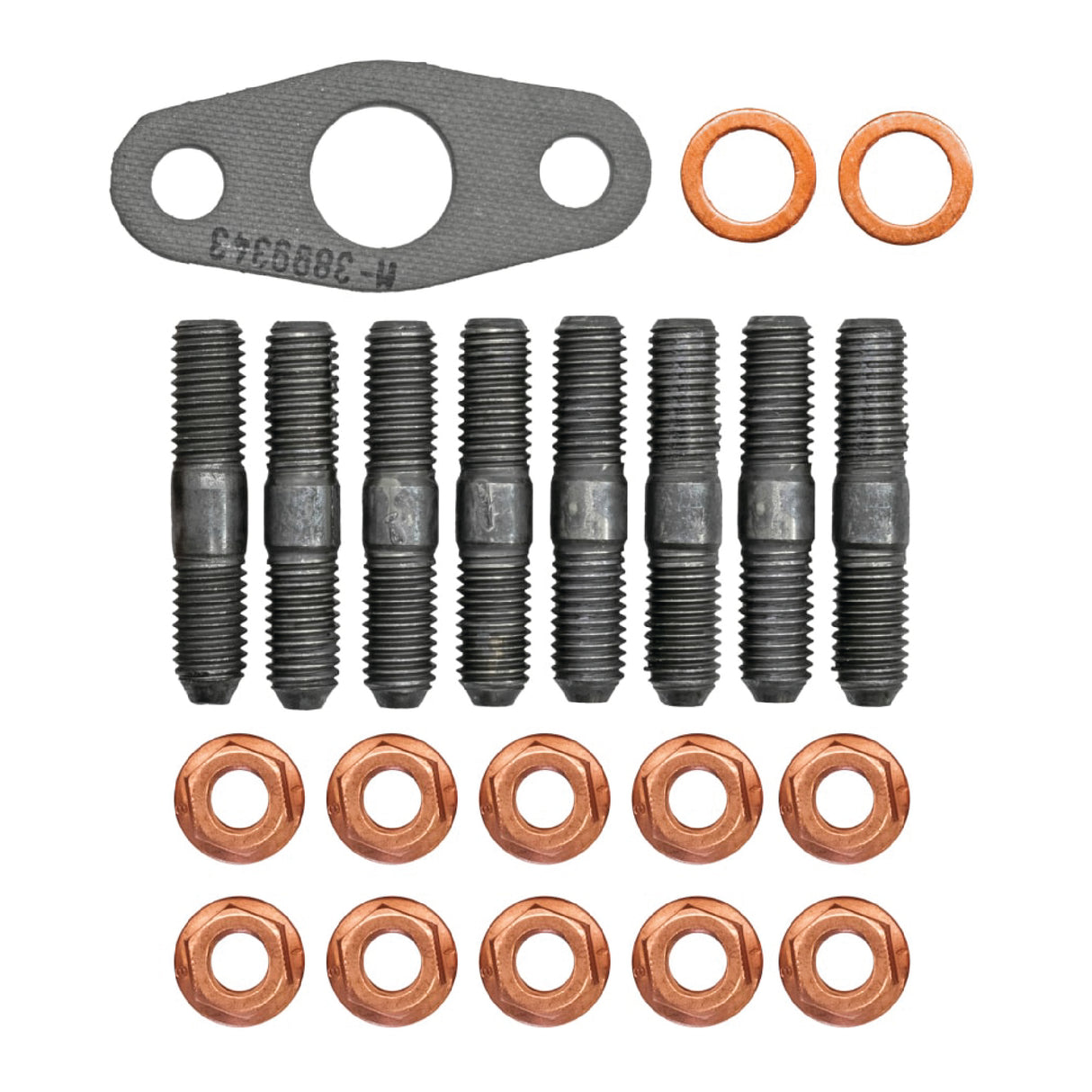 Borg Warner Turbo Installation Kit - 172-784-0196