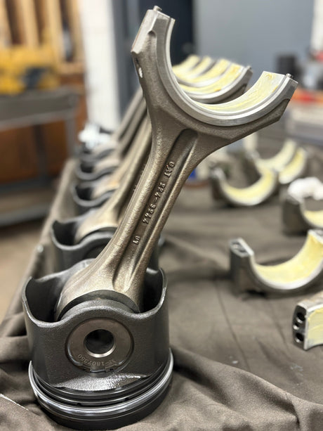 The American Dream 2025 Edition